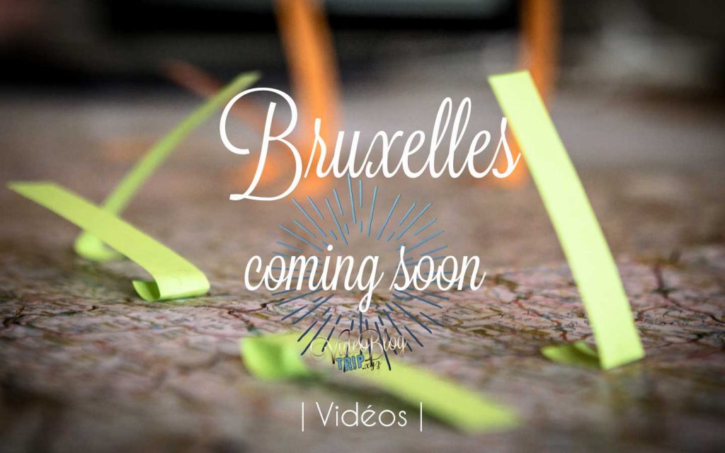 La capitale Belge en vidéo